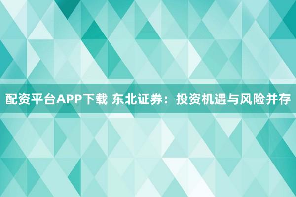 配资平台APP下载 东北证券：投资机遇与风险并存
