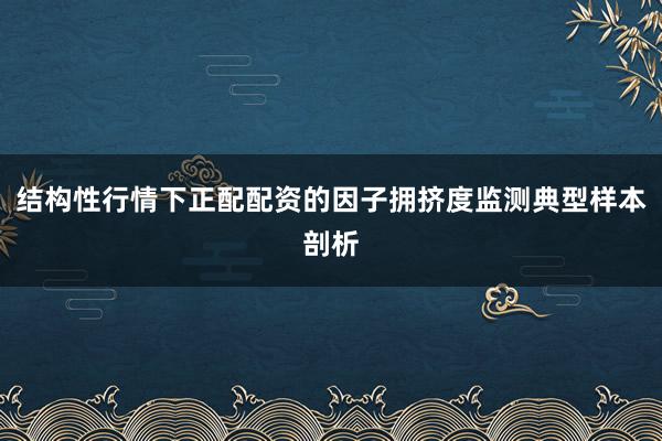 结构性行情下正配配资的因子拥挤度监测典型样本剖析