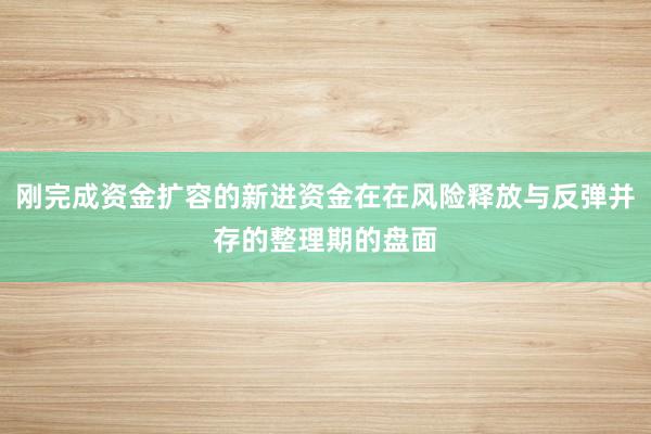 刚完成资金扩容的新进资金在在风险释放与反弹并存的整理期的盘面