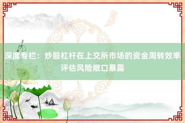 深度专栏：炒股杠杆在上交所市场的资金周转效率评估风险敞口暴露