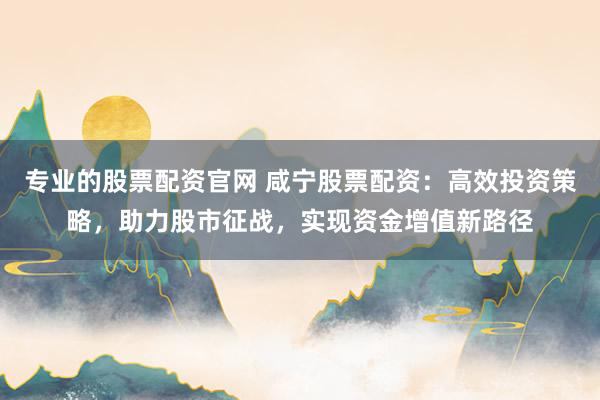 专业的股票配资官网 咸宁股票配资：高效投资策略，助力股市征战，实现资金增值新路径